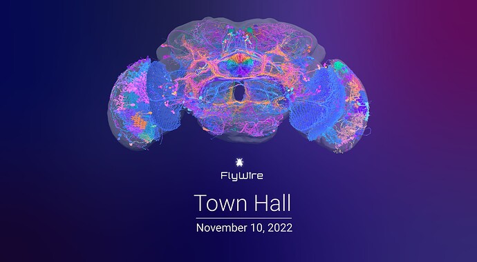 flywire-town-hall-poster-deck