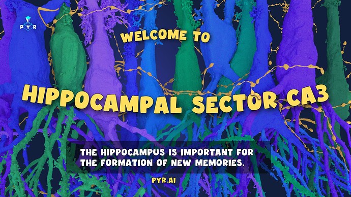 welcome-to-hippocampus