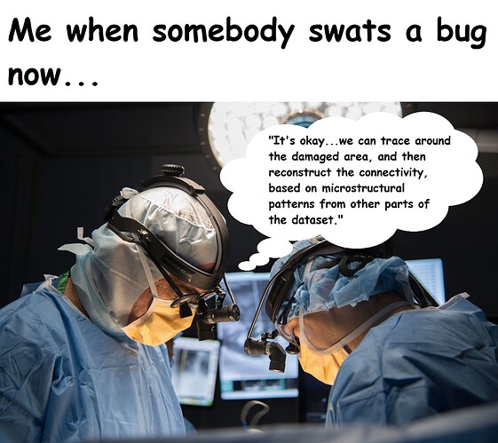 Swat Bug Meme