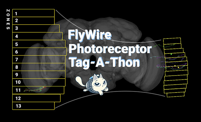 photoreceptor-tagathon