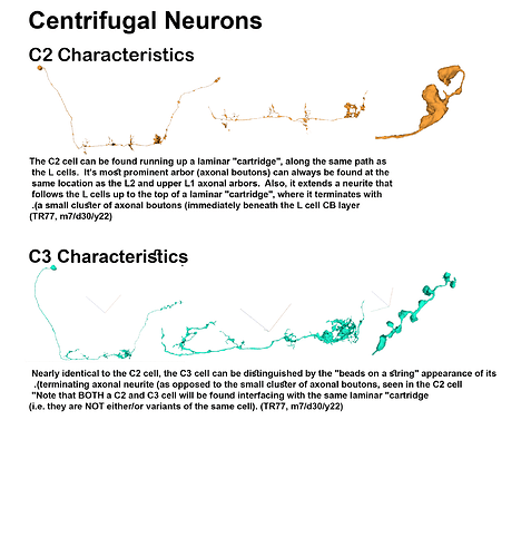 Centrifugal