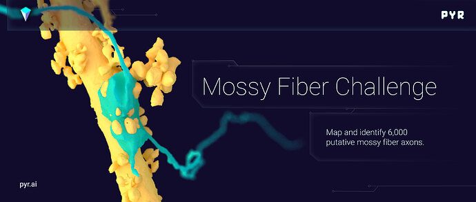 mossy-fiber-challenge-pyr-banner-v3