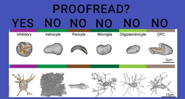 inh_glia_types (1)